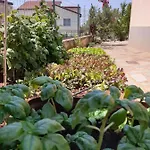 Apartmán Morje