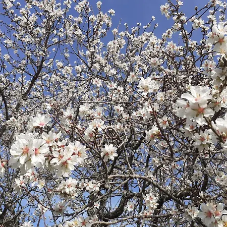 Apartament Morje Umag