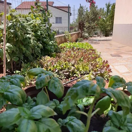 Apartamento Morje