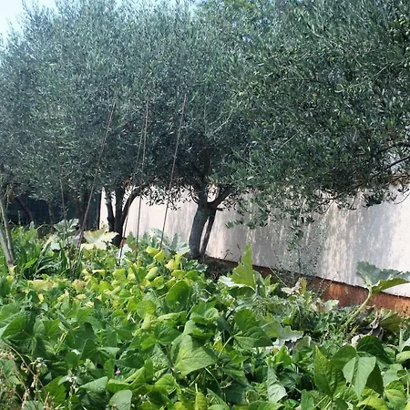 Morje Apartament Umag