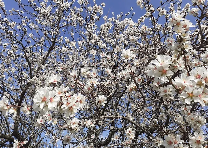 아파트 Morje 우마그